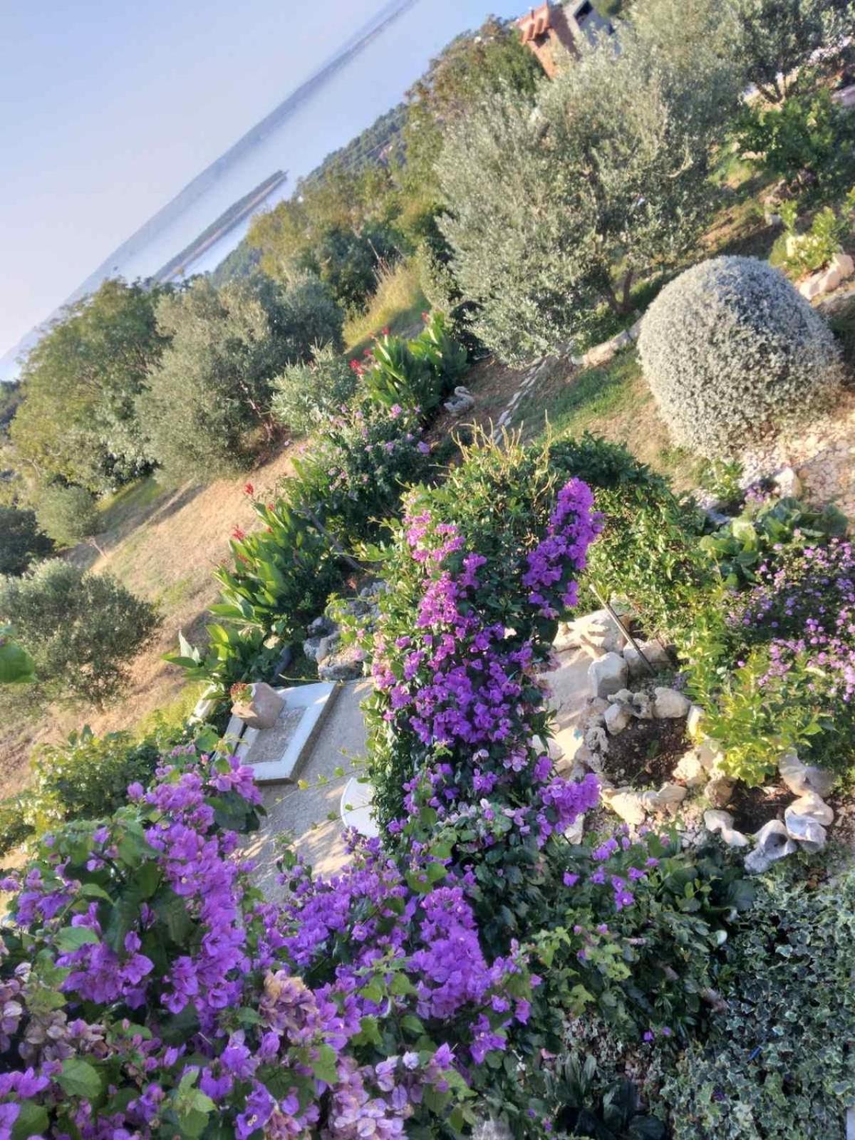 Apartments Panorama View Zeljko Scerbe Mundanije Екстериор снимка