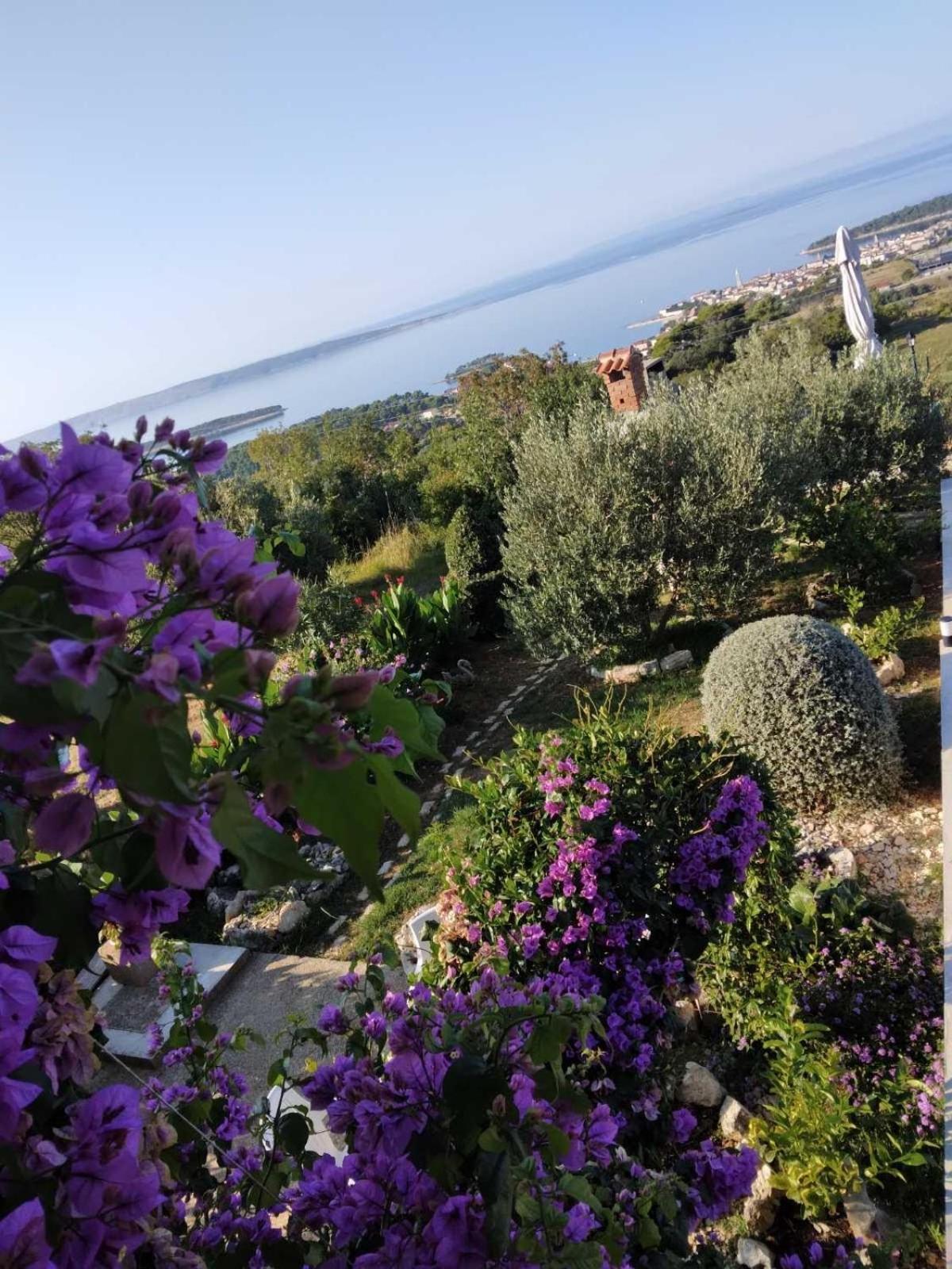 Apartments Panorama View Zeljko Scerbe Mundanije Екстериор снимка